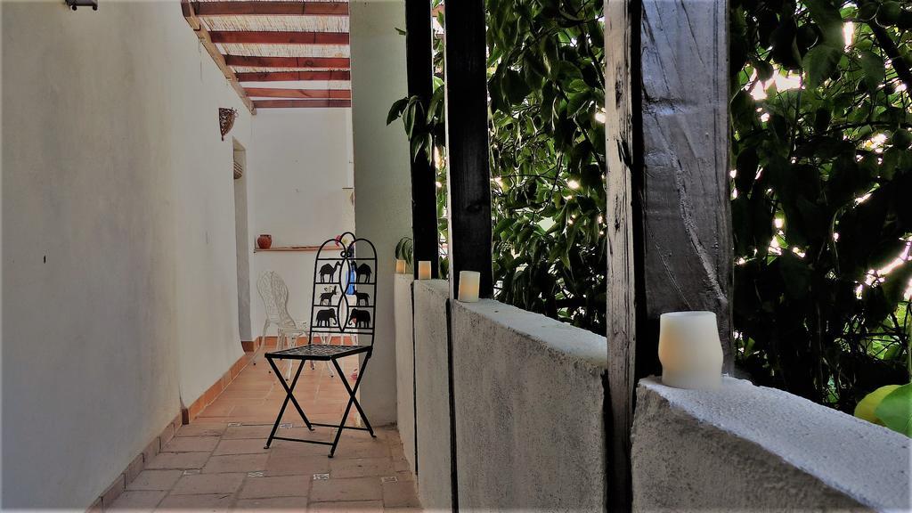 Patio Del Limonero Apartment Cordoba Exterior photo