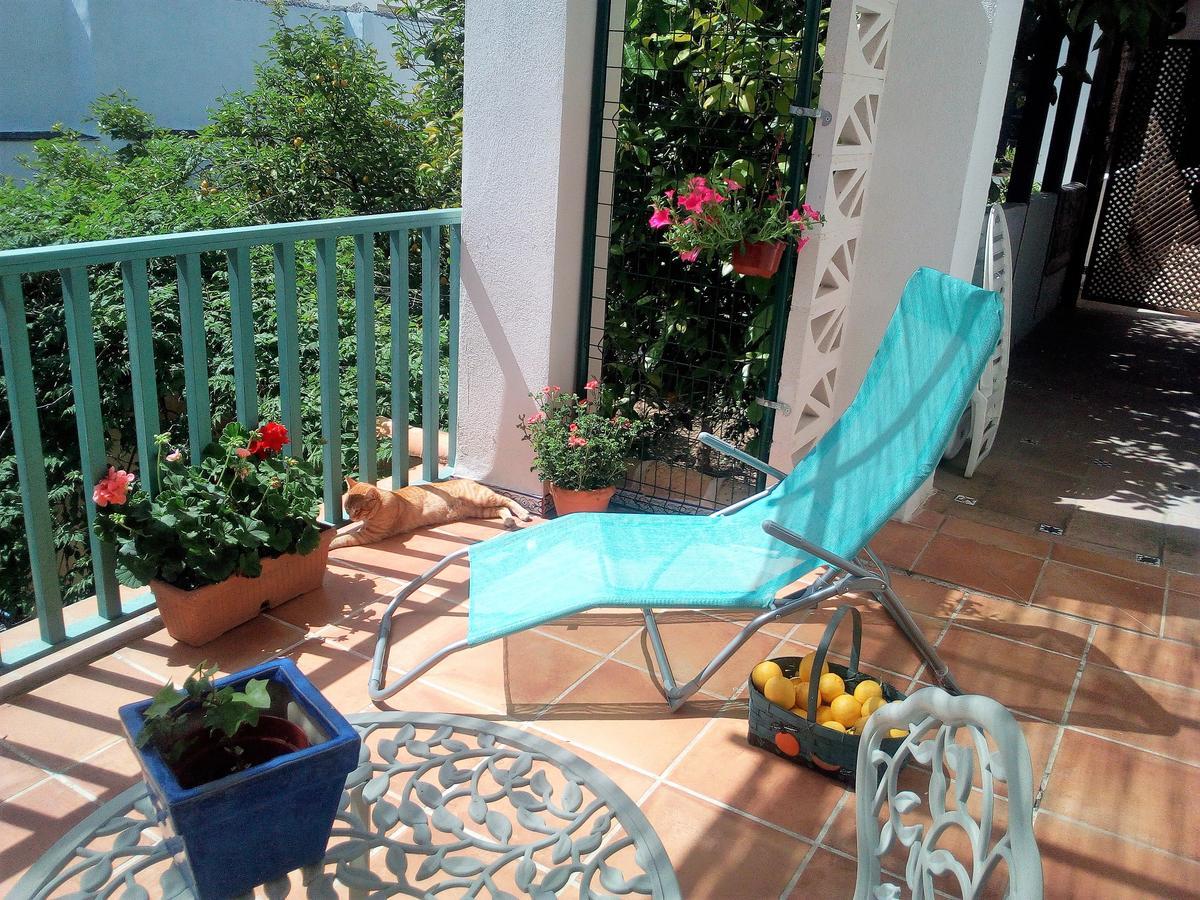 Patio Del Limonero Apartment Cordoba Exterior photo